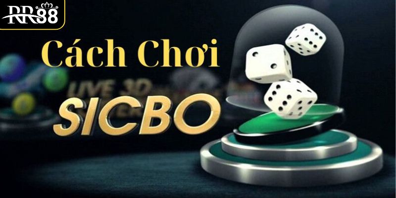 Cách Chơi Sicbo - Từ A Đến Z Cho Người Mới Bắt Đầu tim-hieu-khai-quat-ve-tro-choi-sicbo